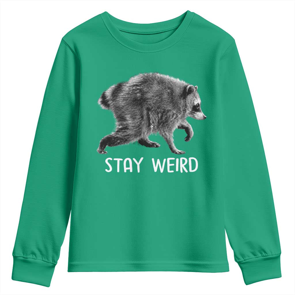 Jimothy the Raccoon Funny Stay Weird Youth Sweatshirt Seattle Short Spine Trash Panda