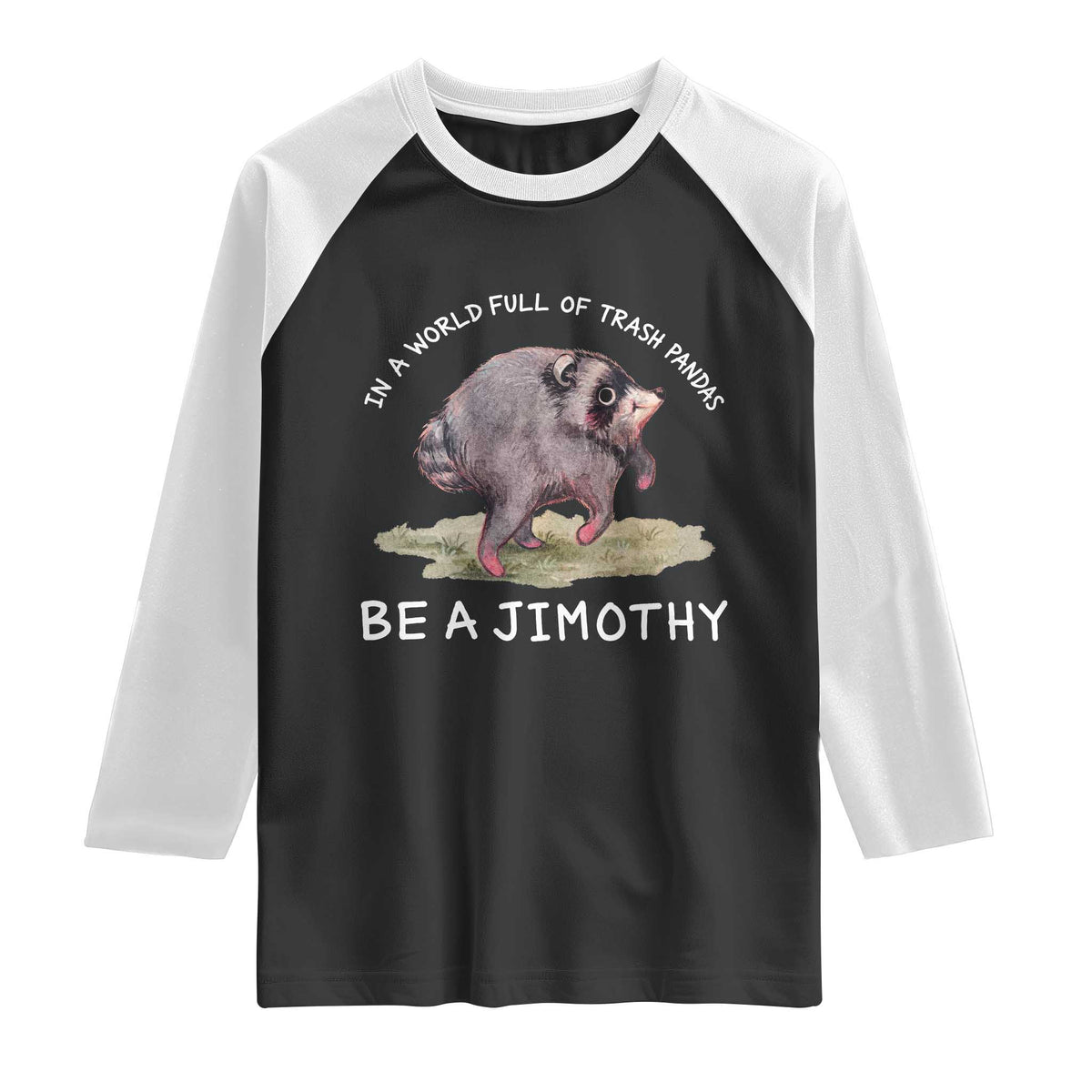 Watercolor Jimothy the Raccoon Raglan Shirt In A World Full Of Trash Pandas Be A Jimothy