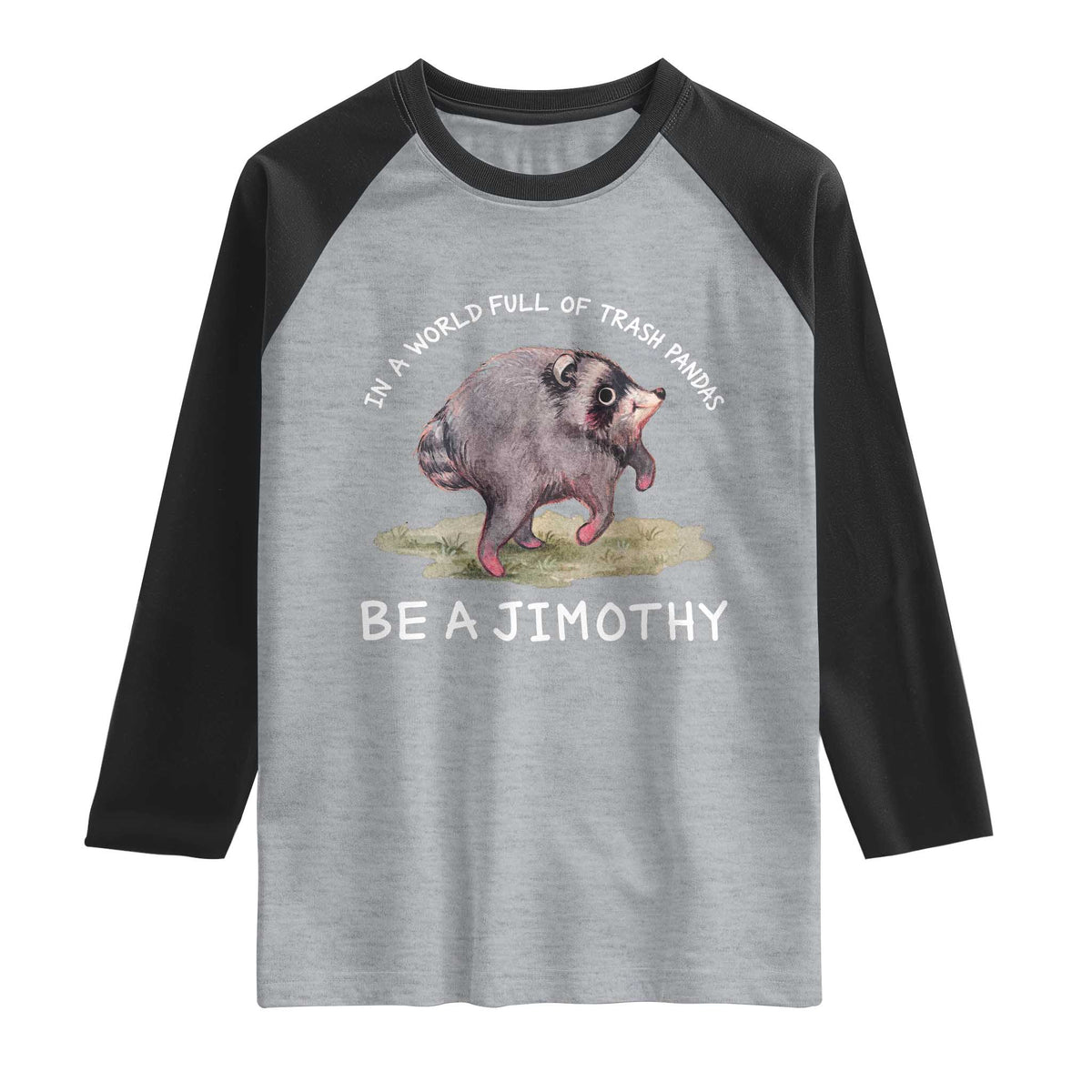 Watercolor Jimothy the Raccoon Raglan Shirt In A World Full Of Trash Pandas Be A Jimothy