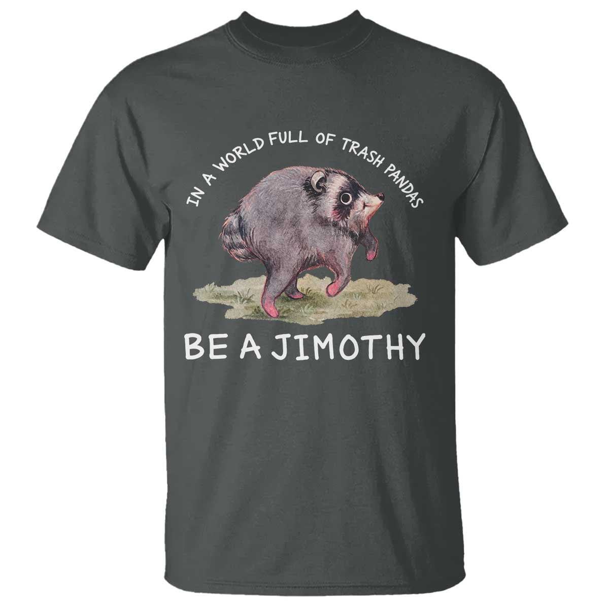 Watercolor Jimothy the Raccoon T Shirt In A World Full Of Trash Pandas Be A Jimothy