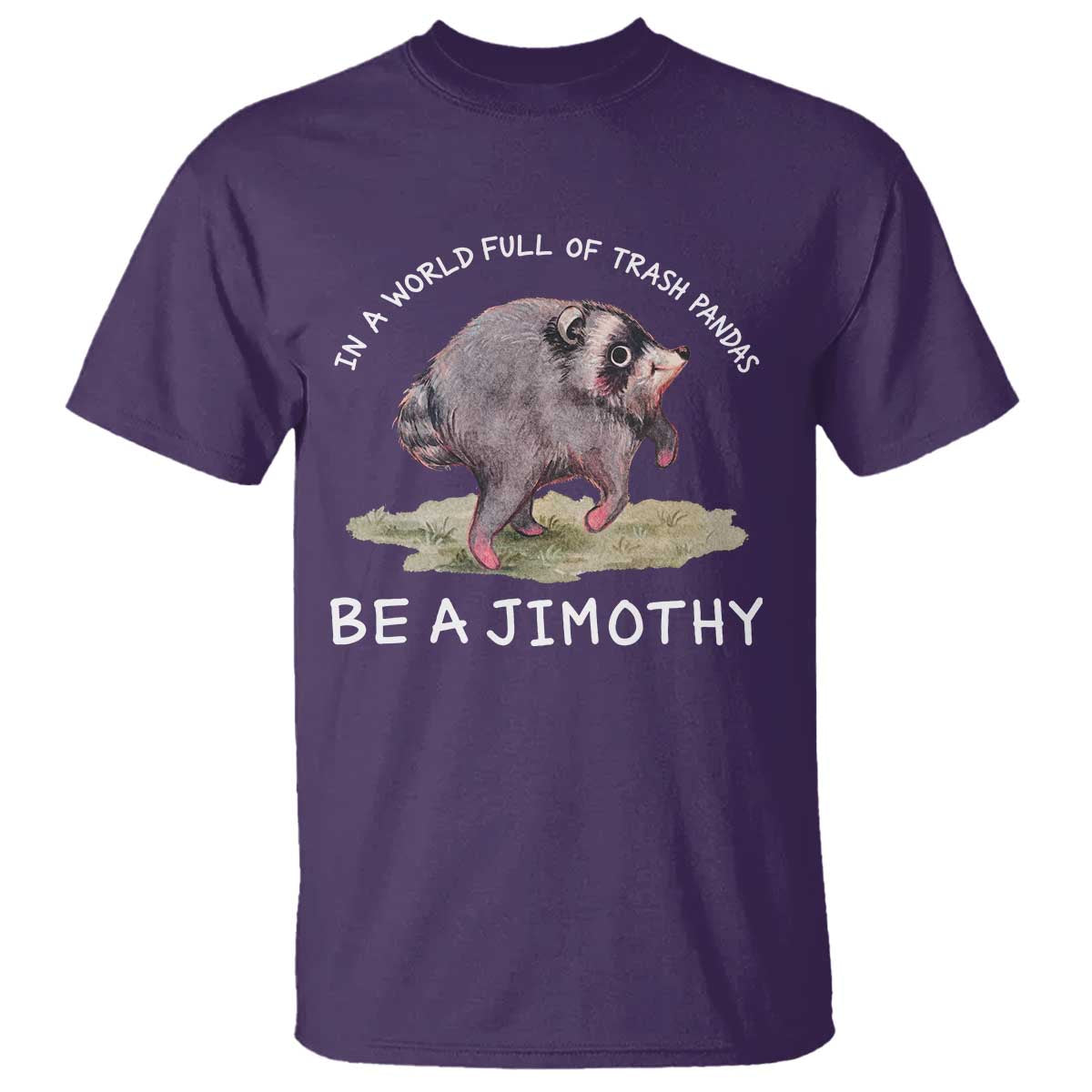 Watercolor Jimothy the Raccoon T Shirt In A World Full Of Trash Pandas Be A Jimothy