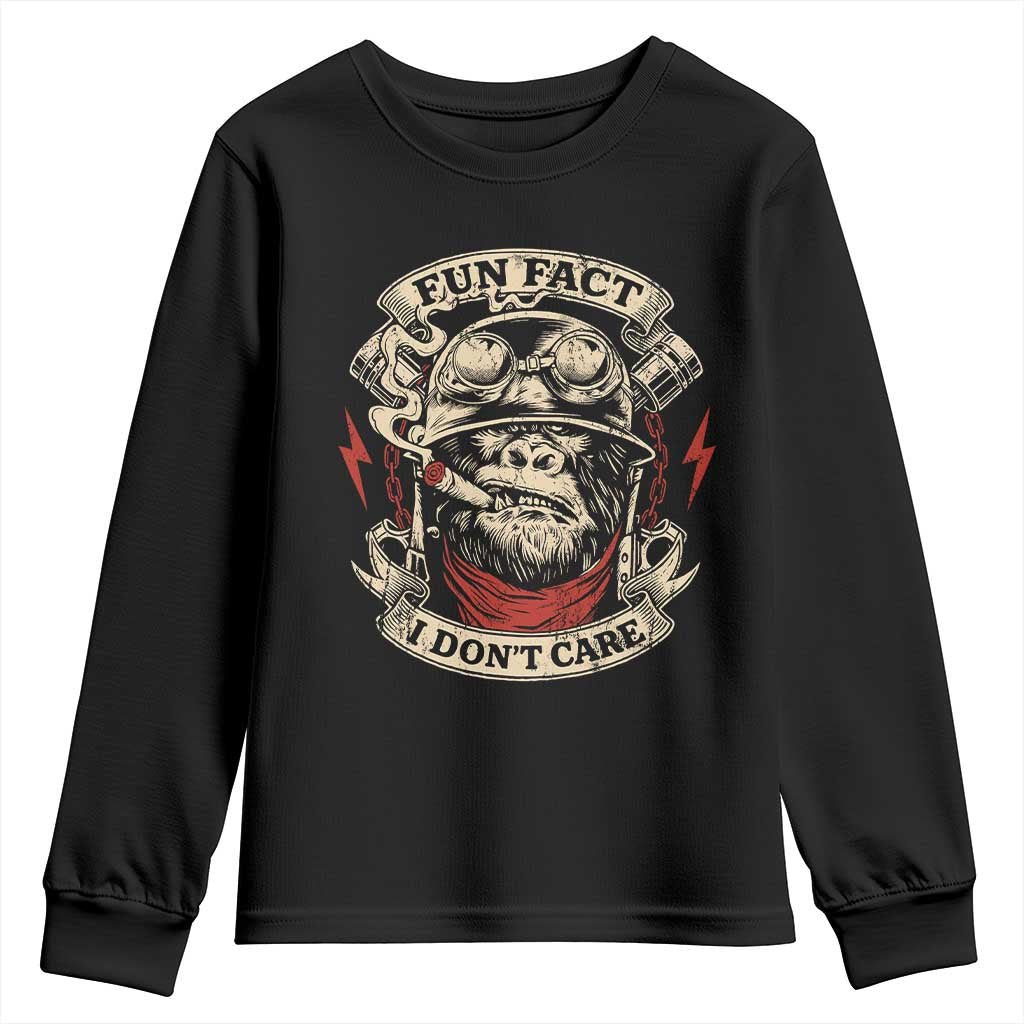 Fun Fact I Dont Care Youth Sweatshirt Funny Smoking Gorilla Sarcastic - Wonder Print Shop