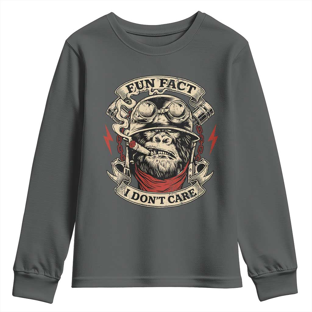 Fun Fact I Dont Care Youth Sweatshirt Funny Smoking Gorilla Sarcastic - Wonder Print Shop