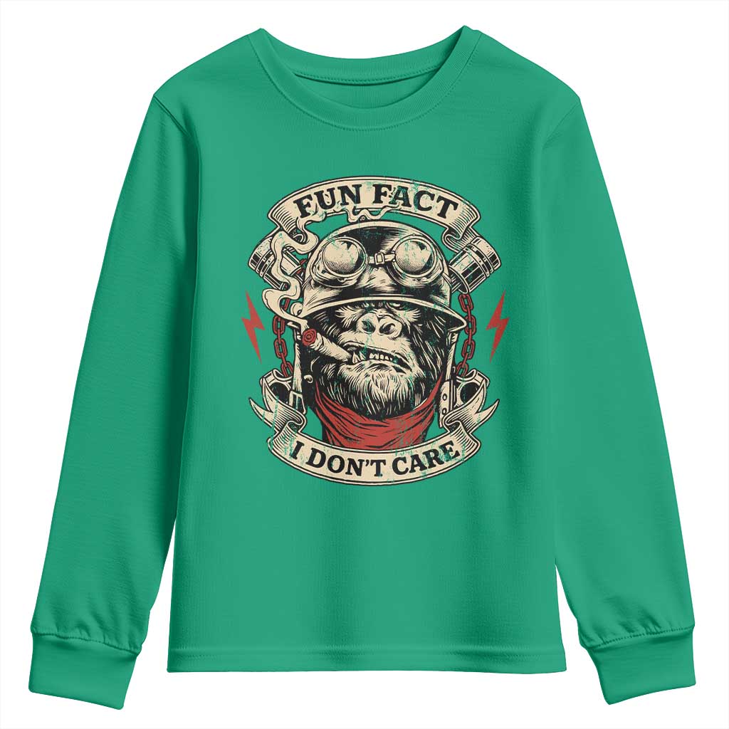 Fun Fact I Dont Care Youth Sweatshirt Funny Smoking Gorilla Sarcastic - Wonder Print Shop
