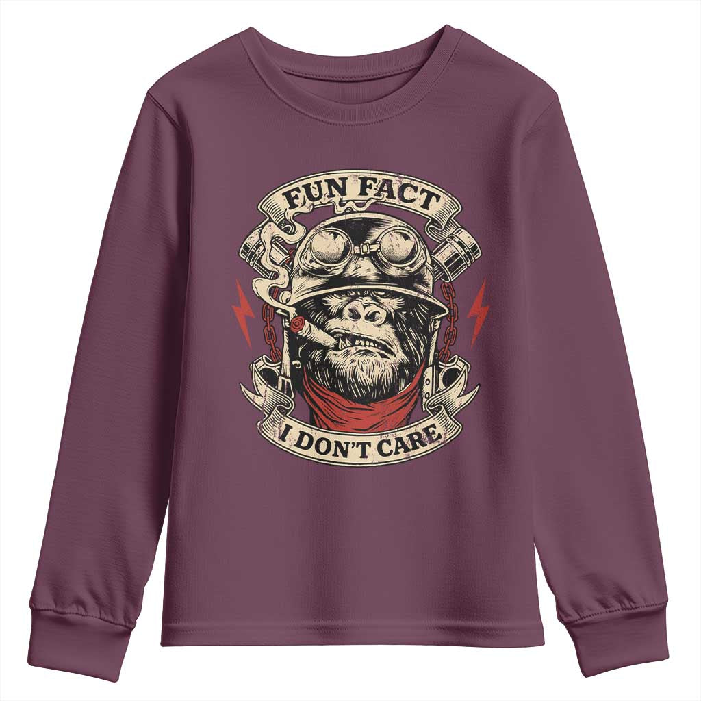 Fun Fact I Dont Care Youth Sweatshirt Funny Smoking Gorilla Sarcastic - Wonder Print Shop
