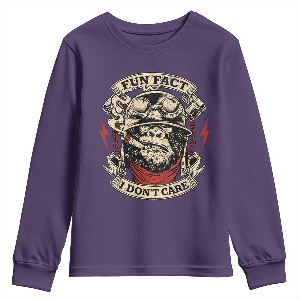 Fun Fact I Dont Care Youth Sweatshirt Funny Smoking Gorilla Sarcastic - Wonder Print Shop