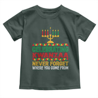 Celebrating Kwanzaa Never Forget Where You Come From Kinara Candle Toddler T Shirt