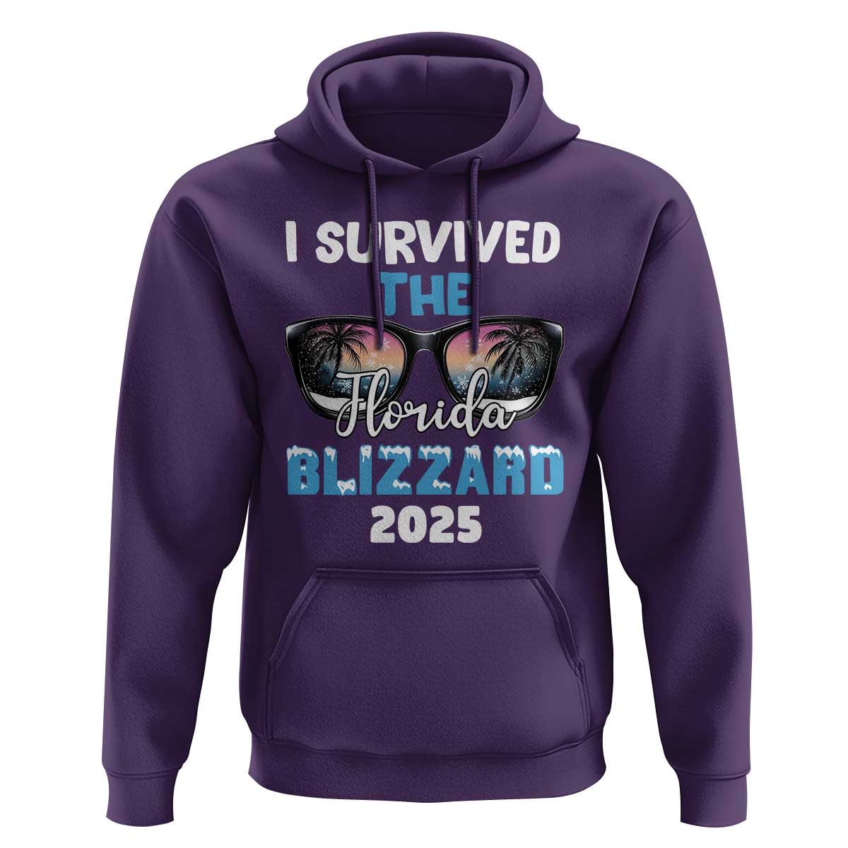 Funny I Survived The Florida Blizzarad Hoodie Snow Sunglasses