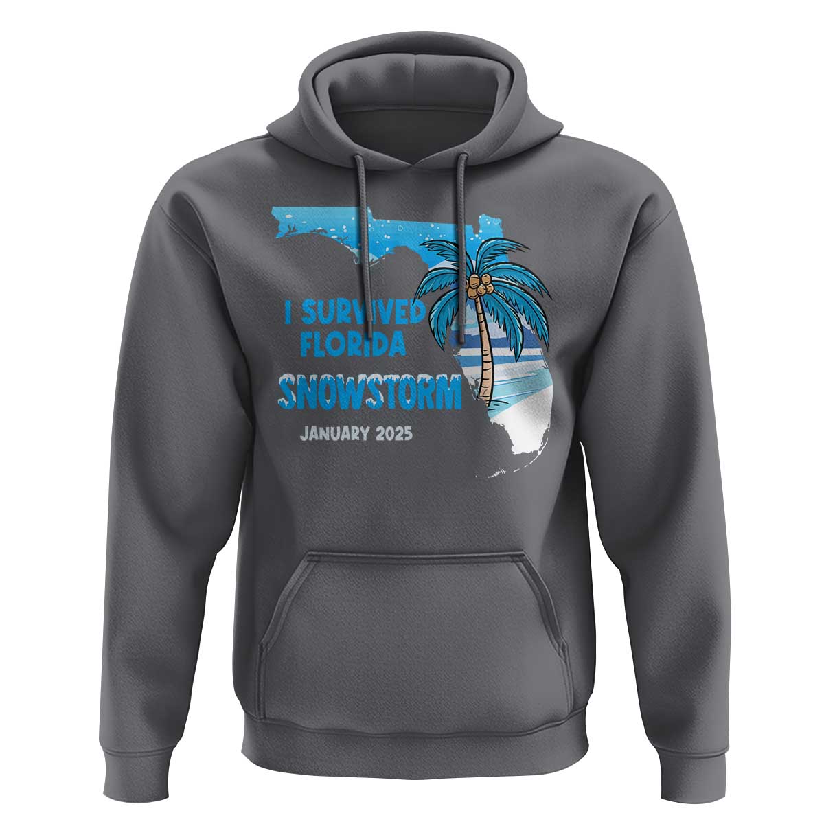 Funny I Survived Florida Snowstorm 2025 Hoodie Coconut Palm Tree