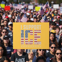 I Support ICE Protest Sign Immigration Officers Vintage American Flag