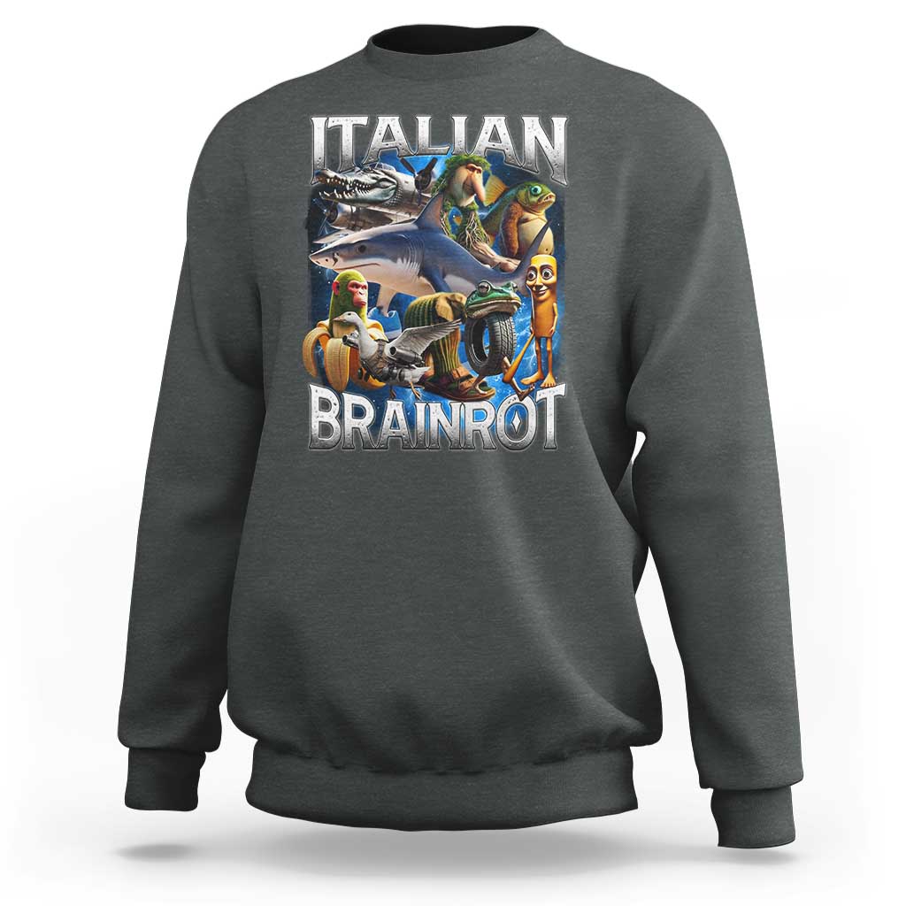 Funny Italian Brainrot Gen Z Meme Sweatshirt