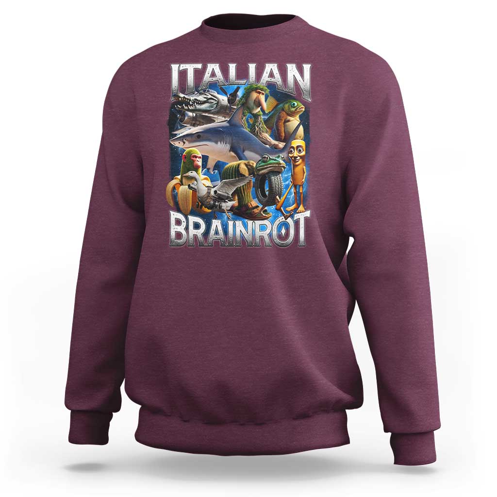 Funny Italian Brainrot Gen Z Meme Sweatshirt