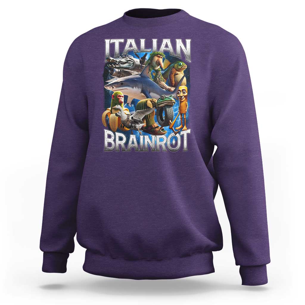 Funny Italian Brainrot Gen Z Meme Sweatshirt