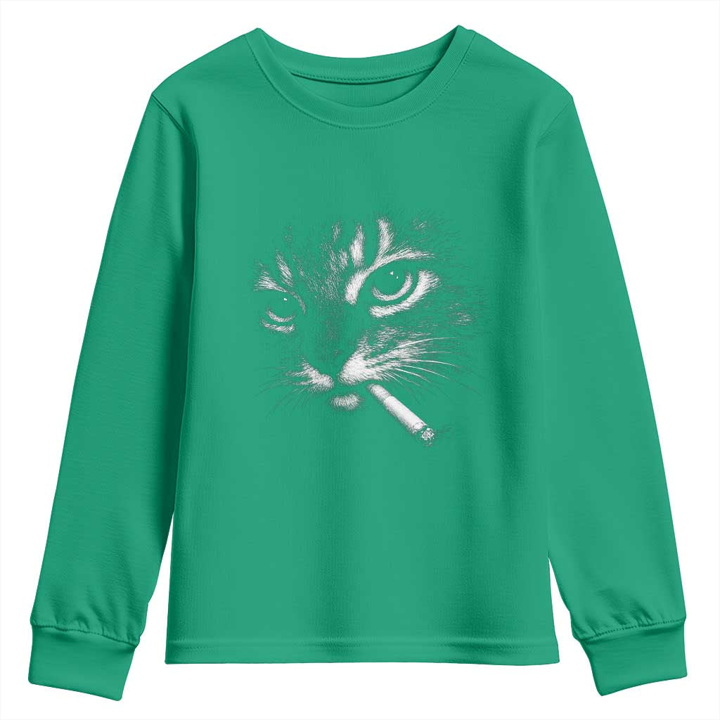 Funny Cat Smoking Cigarette Meme Youth Sweatshirt Cat Face Y2K Graphic