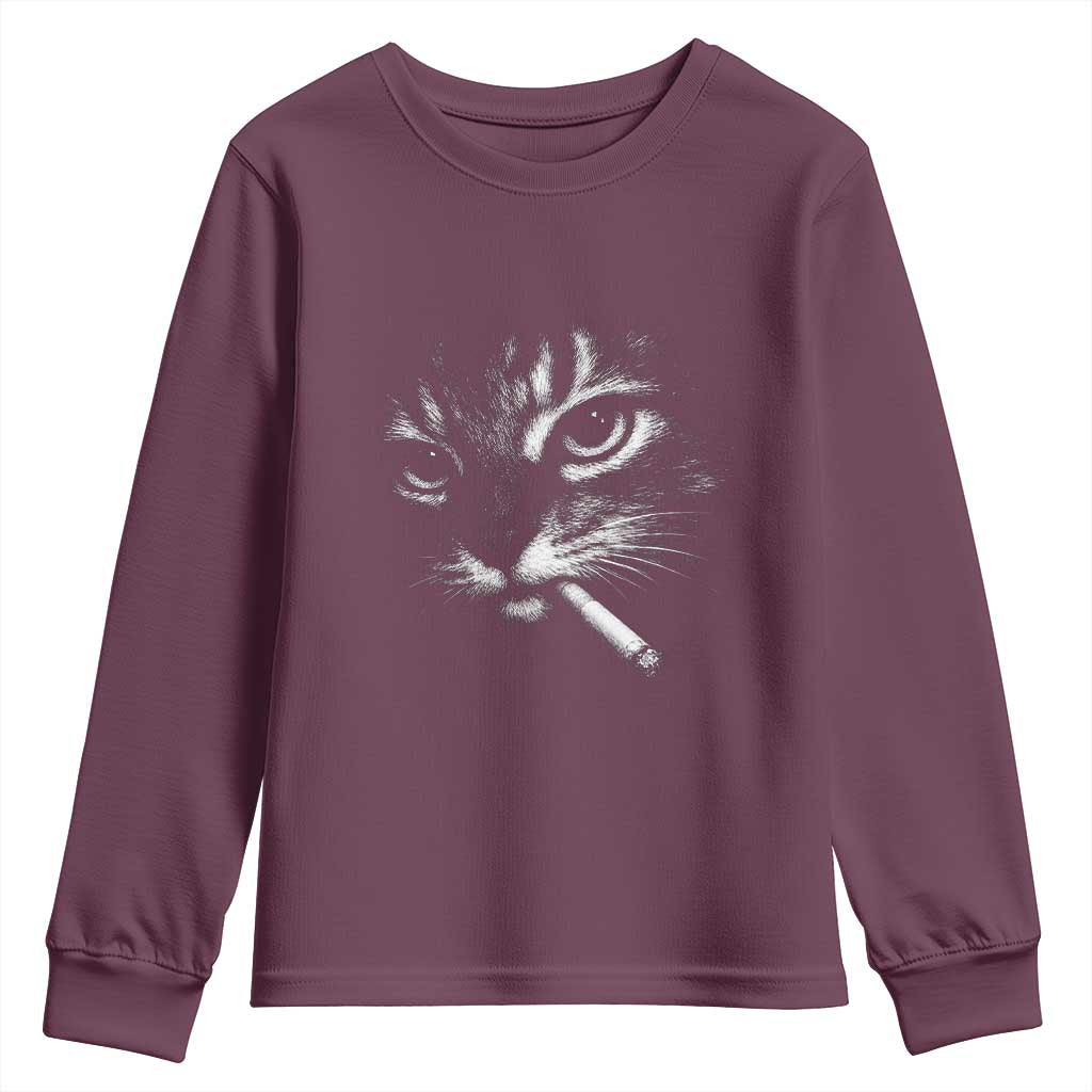 Funny Cat Smoking Cigarette Meme Youth Sweatshirt Cat Face Y2K Graphic