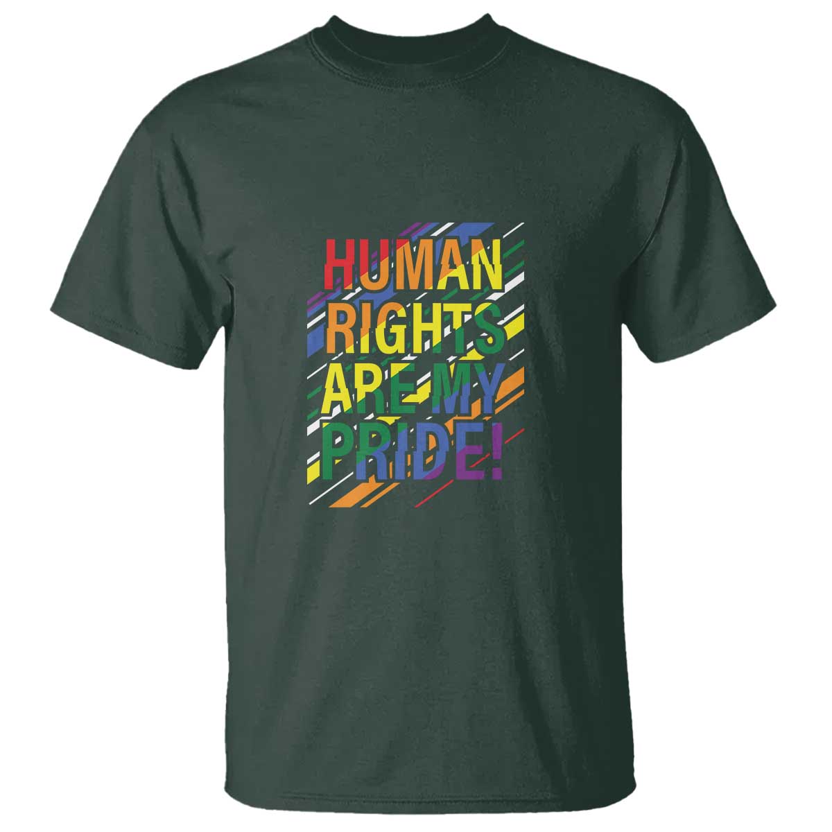 Proud Ally T Shirt Human Rights Are My Pride Rainbow LGBT Flag - Wonder Print Shop
