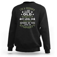 I Am A Grumpy Old Veteran My Level Of Sarcasm Depends On Your Level Of Stupidity Sweatshirt - Wonder Print Shop