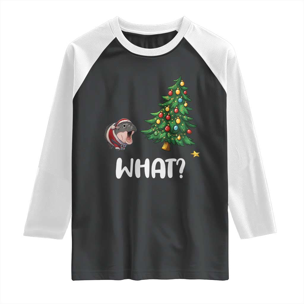 Funny Moo Deng Christmas Raglan Shirt What Santa Cute Hippo Zoo Meme Baby Pygmy Xmas Tree - Wonder Print Shop
