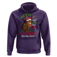 Funny Christmas Vacation Squirrel Movie Hoodie Whats That Sound You Hear It It Is A Funny Squeaky Sound - Wonder Print Shop