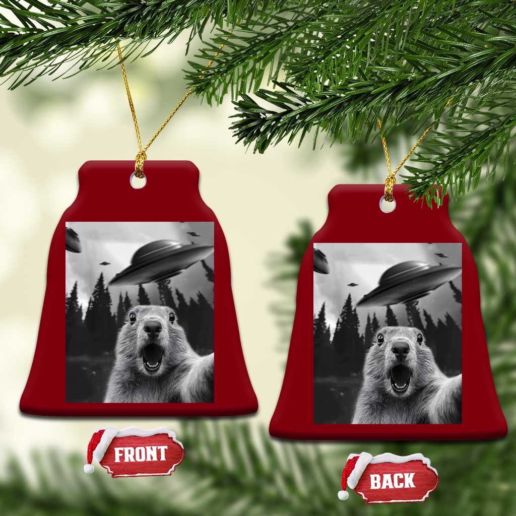 Funny Groundhog Selfie With Alien UFOs Weird Ground Hog Day Ceramic Ornament - Wonder Print Shop