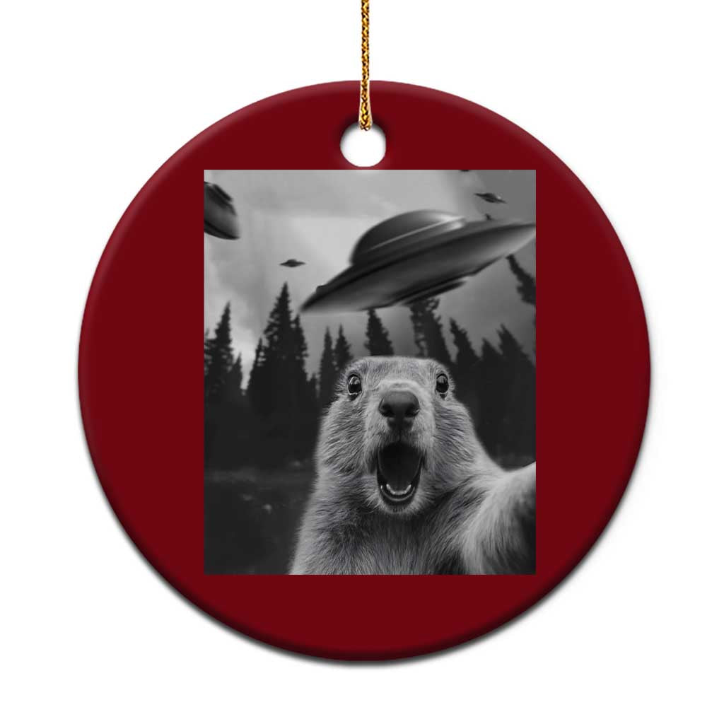 Funny Groundhog Selfie With Alien UFOs Weird Ground Hog Day Ceramic Ornament - Wonder Print Shop