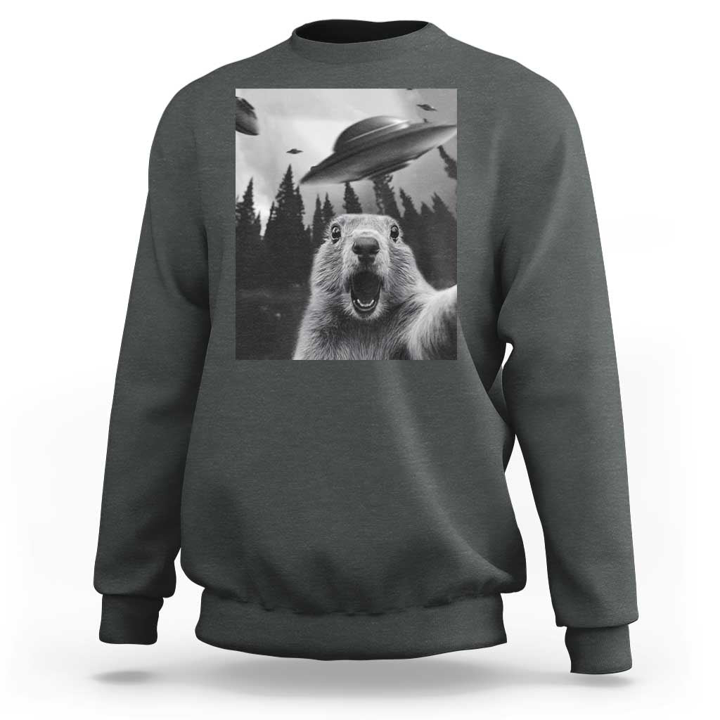Funny Groundhog Selfie With Alien UFOs Weird Ground Hog Day Sweatshirt - Wonder Print Shop
