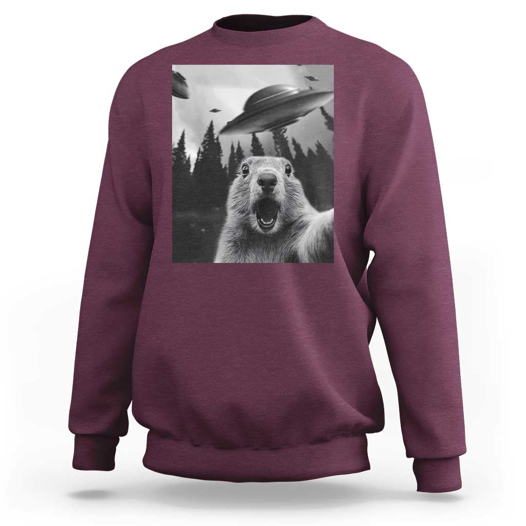 Funny Groundhog Selfie With Alien UFOs Weird Ground Hog Day Sweatshirt - Wonder Print Shop