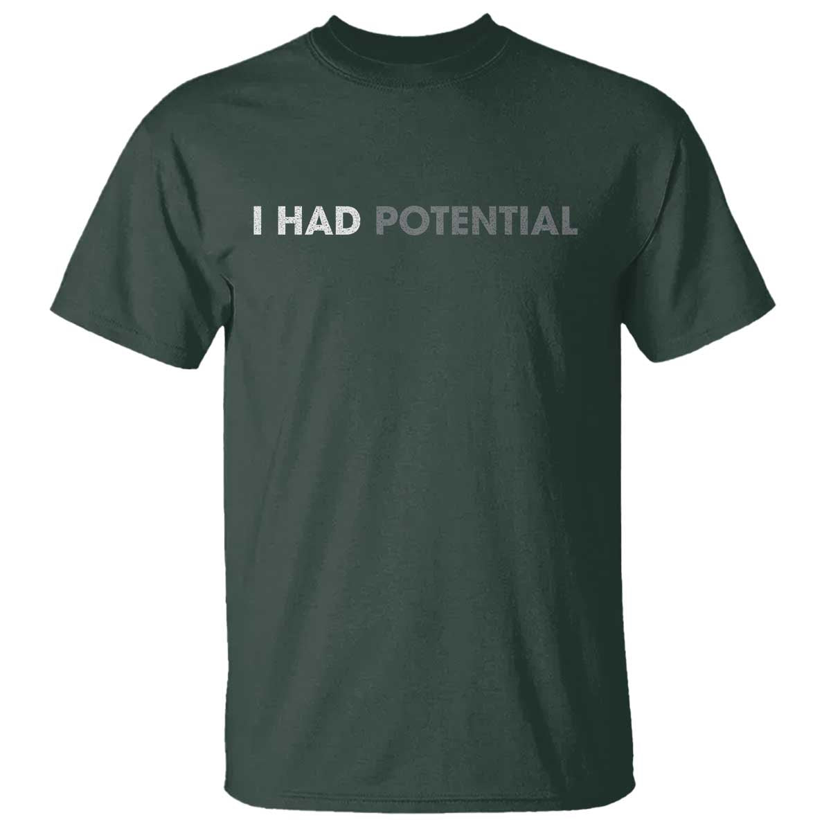 I Had Potential T Shirt Physics Science Teacher Humor