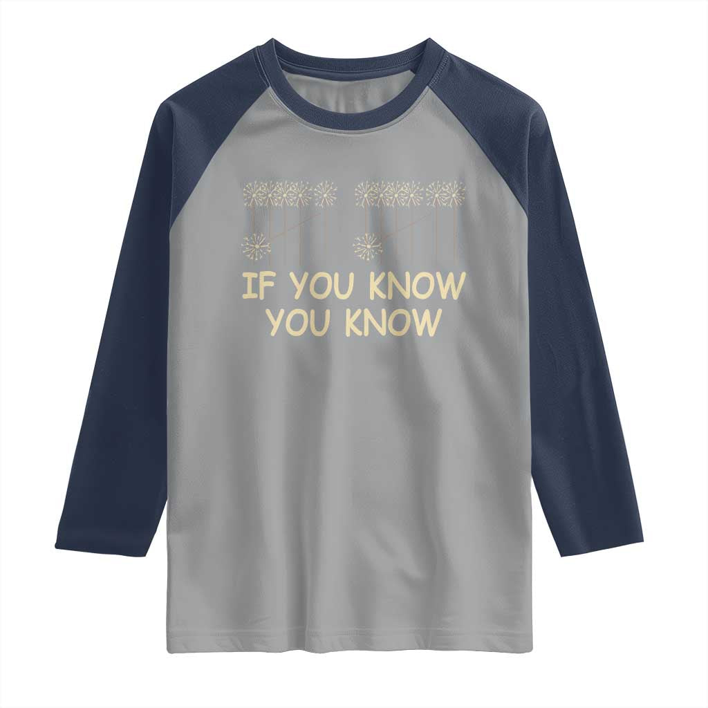 Funny 67 New Year Raglan Shirt If You Know You Know Six Seven Meme Sparklers - Wonder Print Shop