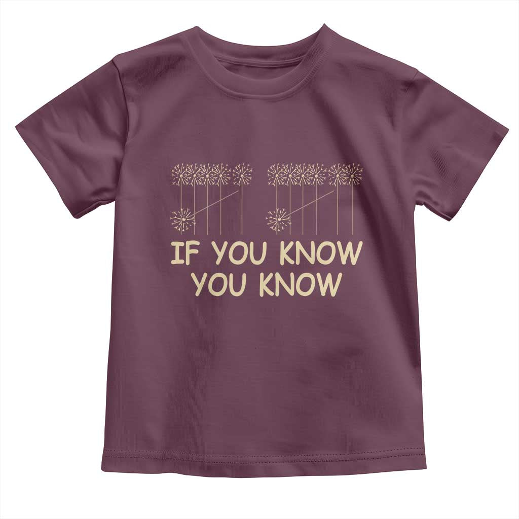 Funny 67 New Year Toddler T Shirt If You Know You Know Six Seven Meme Sparklers - Wonder Print Shop