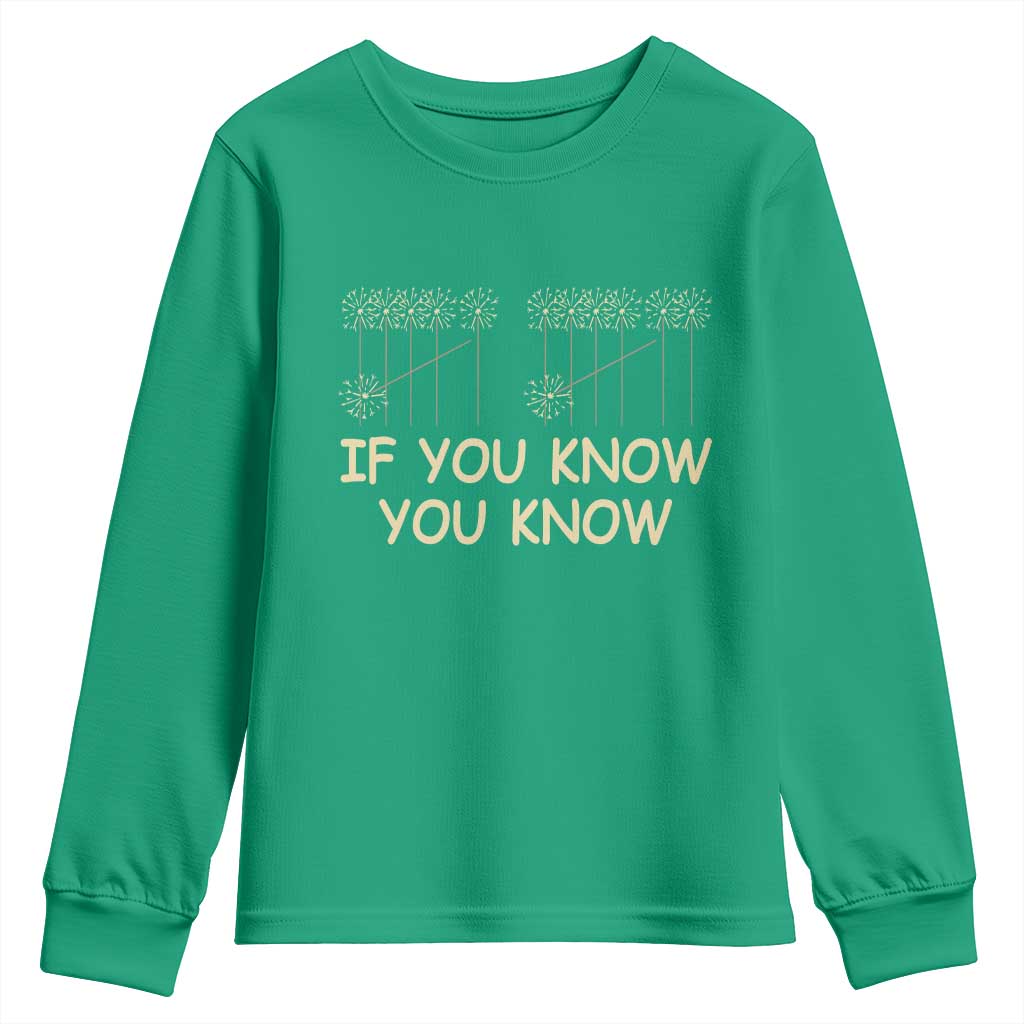 Funny 67 New Year Youth Sweatshirt If You Know You Know Six Seven Meme Sparklers - Wonder Print Shop