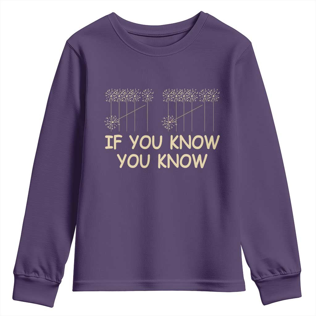 Funny 67 New Year Youth Sweatshirt If You Know You Know Six Seven Meme Sparklers - Wonder Print Shop