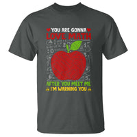 Funny Math Teacher T Shirt You Are Gonna Love Math After You Meet Me I'm Warning You - Wonder Print Shop