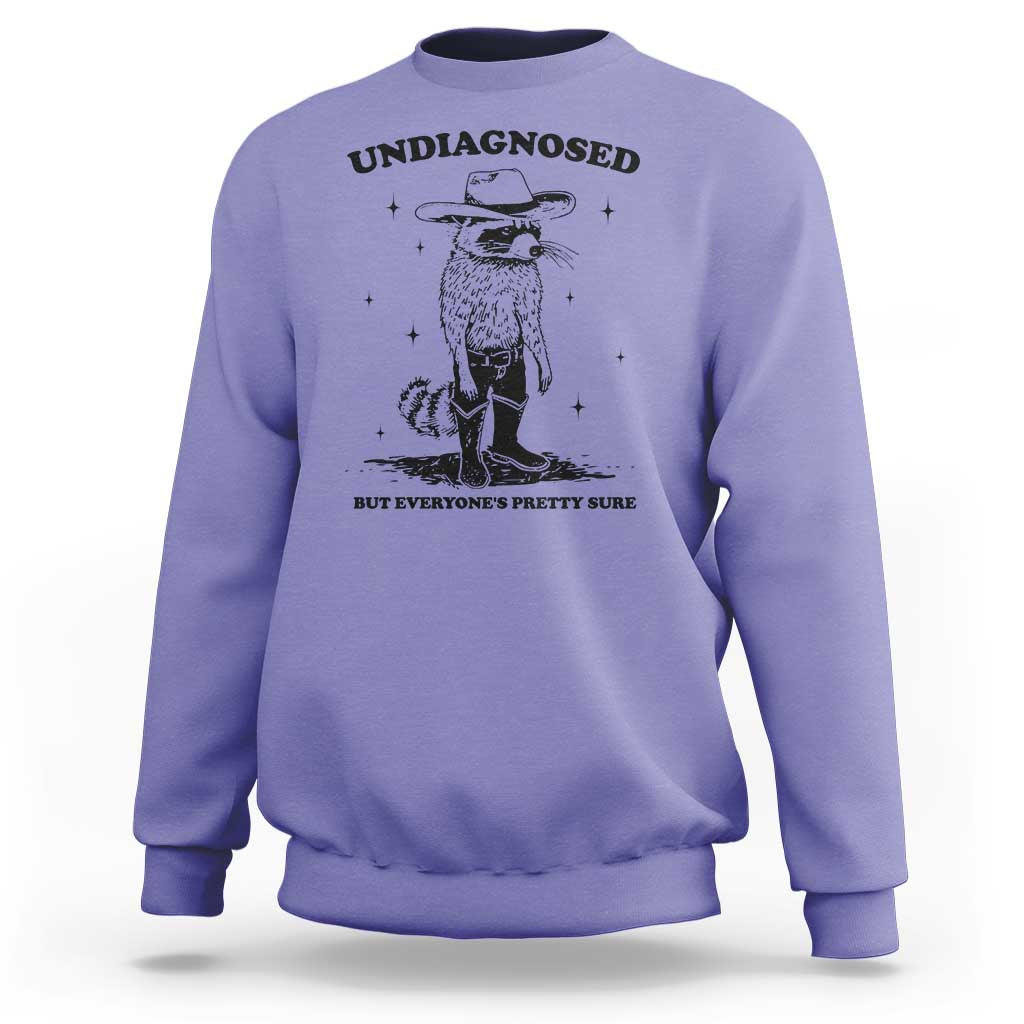 Funny Undiagnosed But Everyone's Pretty Sure Sweatshirt Cowboy Racoon