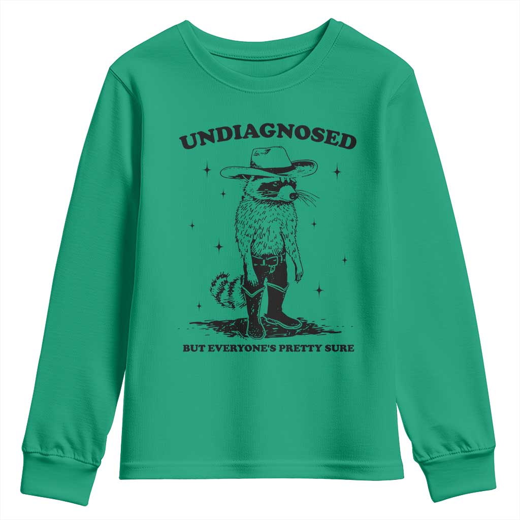 Funny Undiagnosed But Everyone's Pretty Sure Youth Sweatshirt Cowboy Racoon