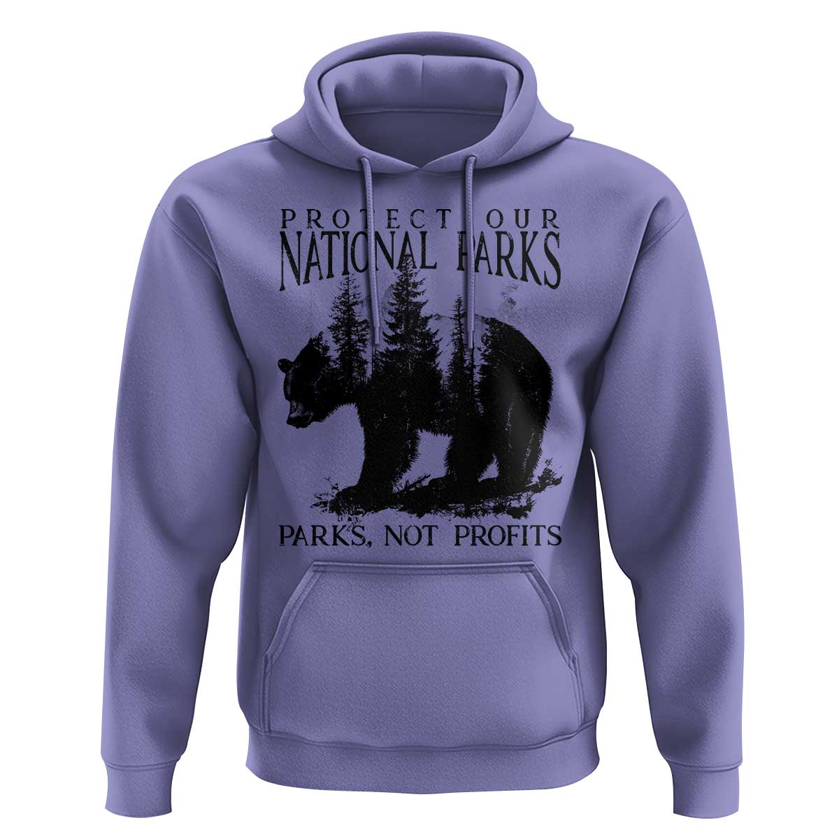 Protect Our National Parks Not Profits Hoodie Vintage Forest Bear
