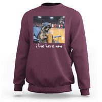 Basketball Raccoon I Live Here Now Sweatshirt Funny Trash Panda Drinking Iced Coffee Basketball Court