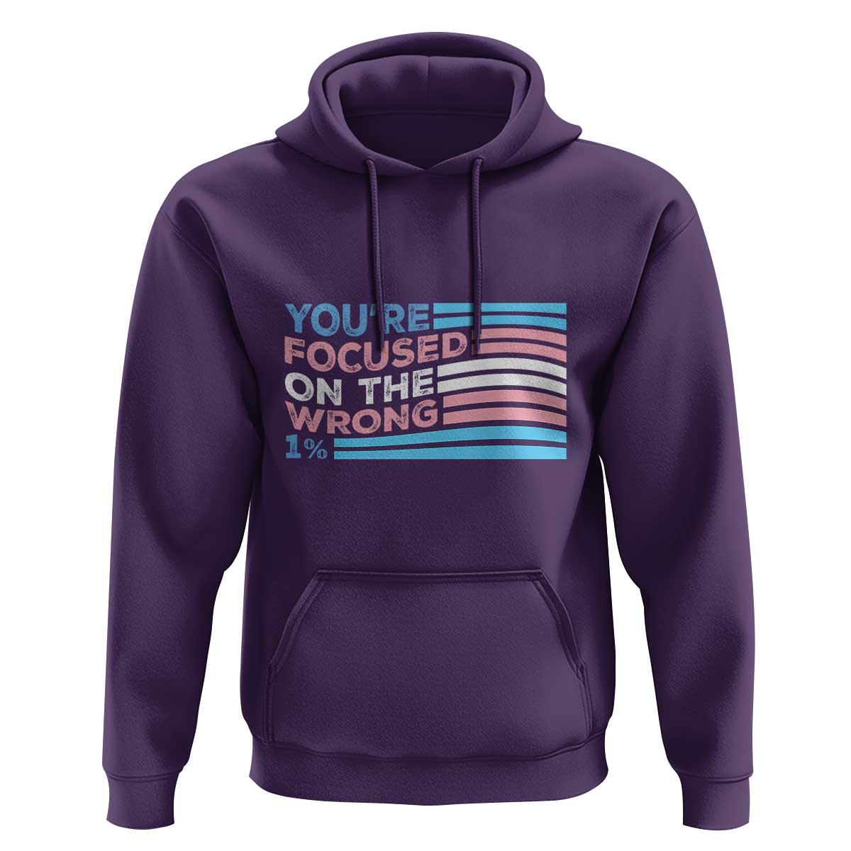 Funny You're Focused On The Wrong 1% Hoodie Bi Transgender LGBT