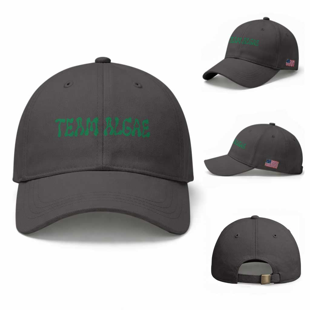 Team Algae Baseball Cap Political Satire Lincoln Reflecting Pool Midterm