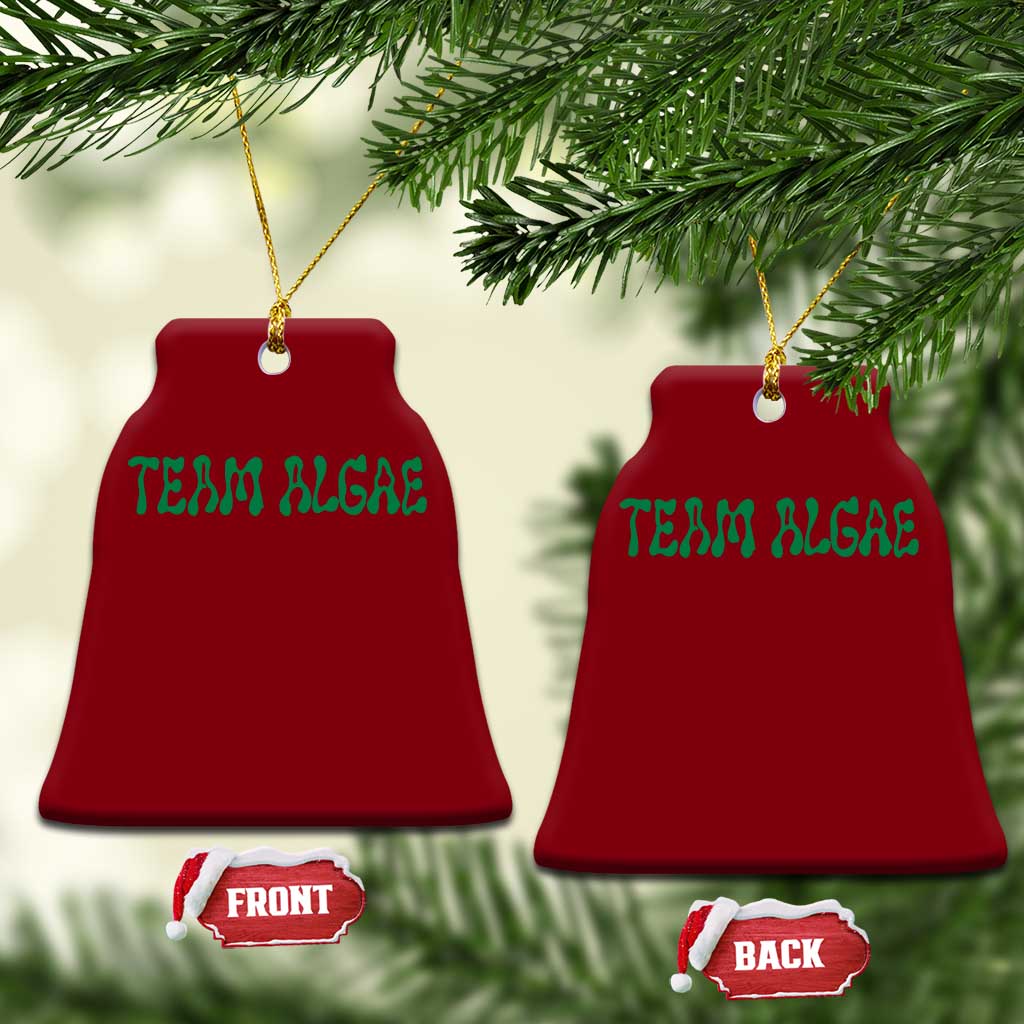 Team Algae Ceramic Ornament Political Satire Lincoln Reflecting Pool Midterm