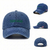 Team Algae Washed Cotton Baseball Cap Political Satire Lincoln Reflecting Pool Midterm