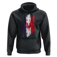 France Gallic Rooster Football Two Stars Brushstroke French Flag Graphic Hoodie
