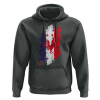France Gallic Rooster Football Two Stars Brushstroke French Flag Graphic Hoodie