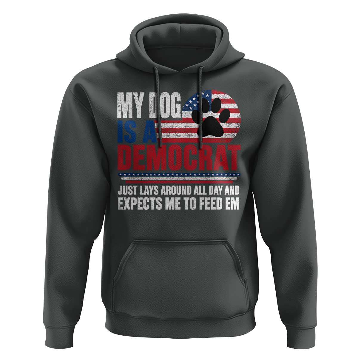 My Dog Is A Democrat Hoodie Just Lays Around All Day And Expects Me To Feed Em Dog Owner