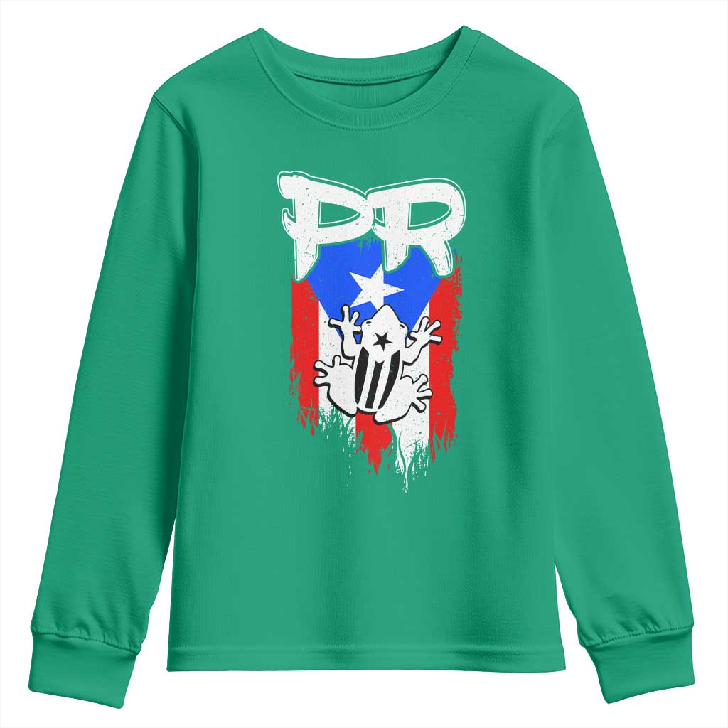 Puerto Rico Flag Hispanic Heritage Month Boricua Coqui Frog Youth Sweatshirt - Wonder Print Shop