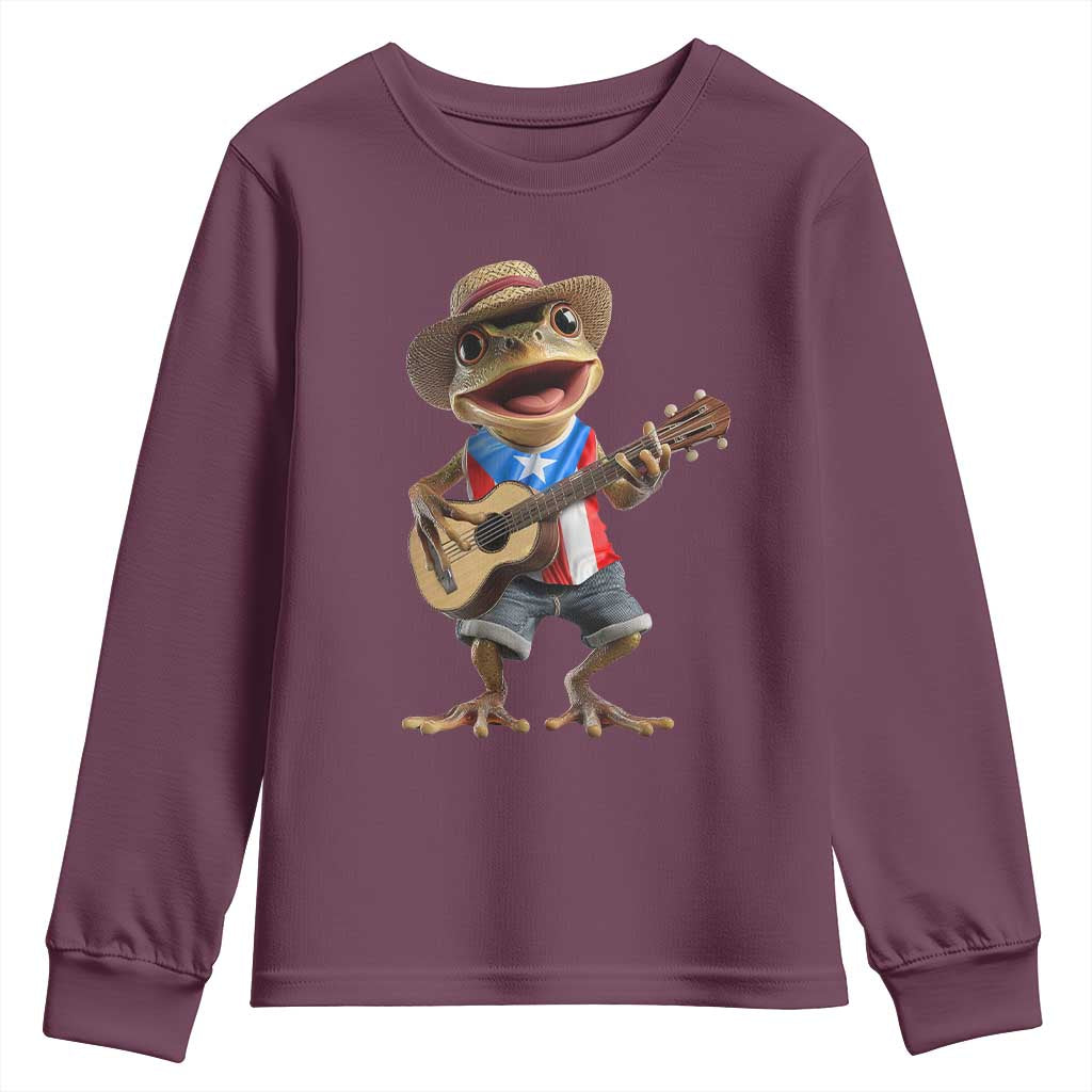 Puerto Rico Coqui Frog Puerto Rican Flag Taino Boricua Guitar Youth Sweatshirt - Wonder Print Shop