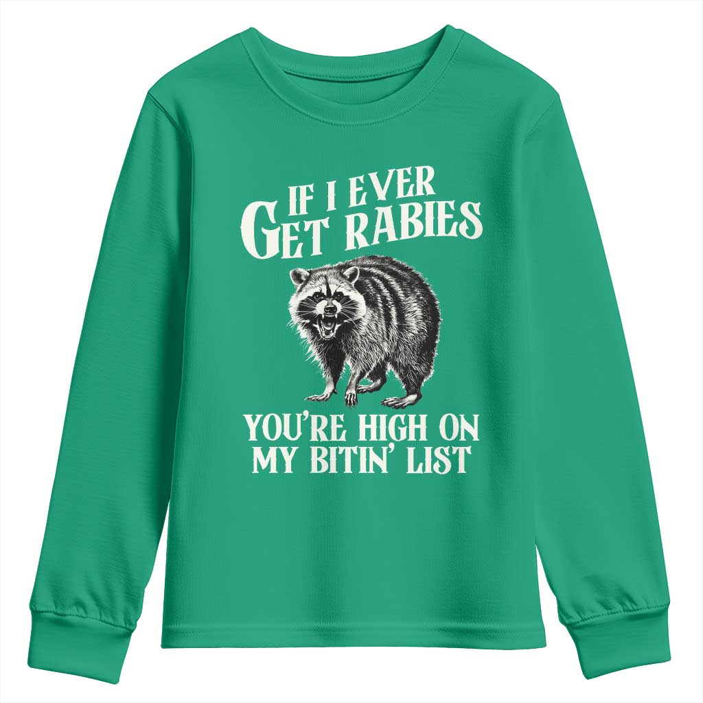 Funny If I Ever Get Rabies You're High On My Bitin' List Racoon Youth Sweatshirt - Wonder Print Shop