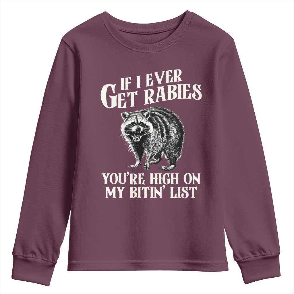 Funny If I Ever Get Rabies You're High On My Bitin' List Racoon Youth Sweatshirt - Wonder Print Shop
