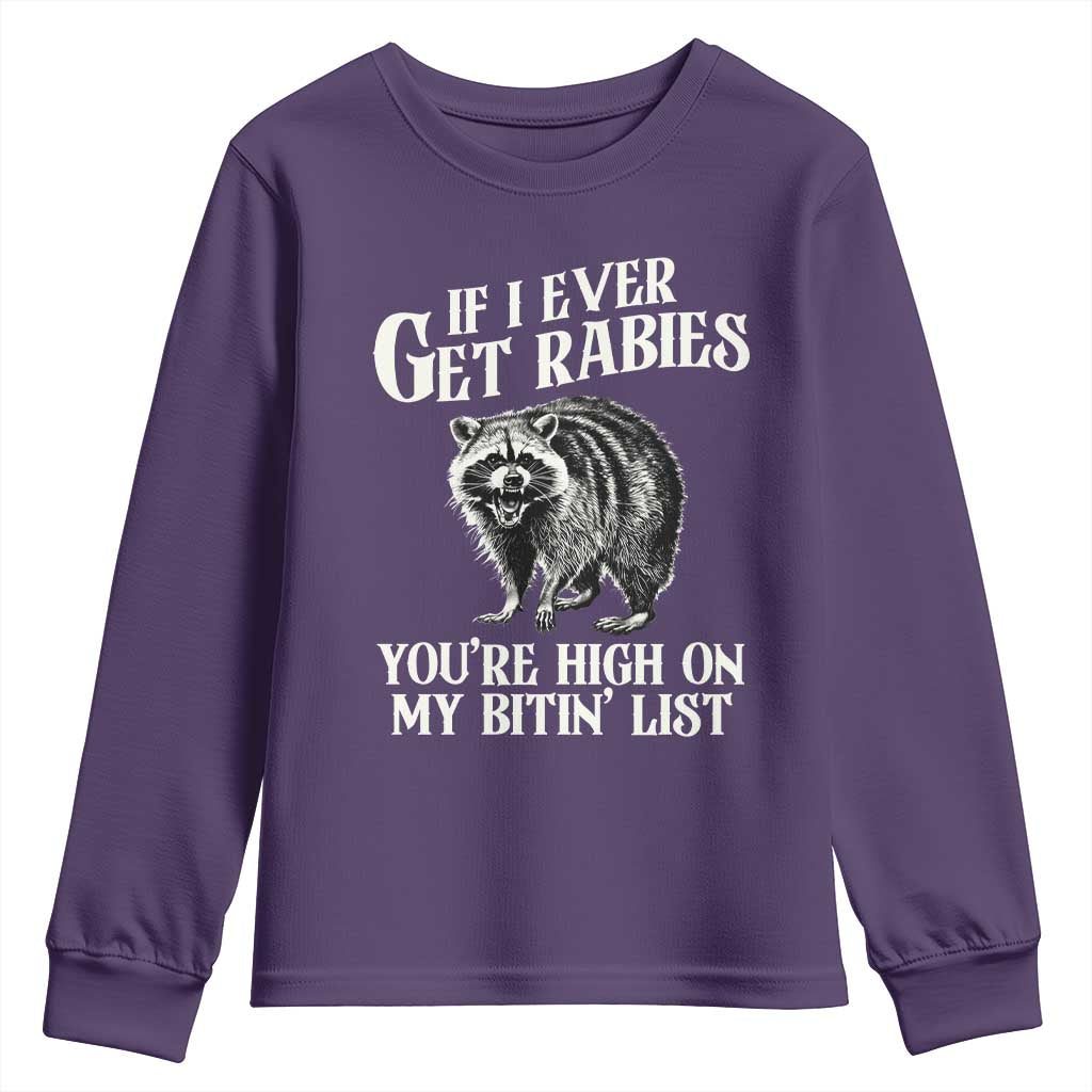 Funny If I Ever Get Rabies You're High On My Bitin' List Racoon Youth Sweatshirt - Wonder Print Shop