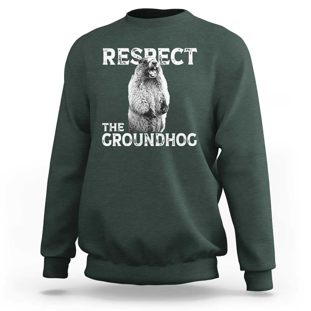 Funny Respect The Groundhog Sweatshirt Screaming Woodchuck Meme Groundhog Day - Wonder Print Shop